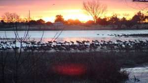 Scoutsigler700 181003 155401