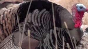 Screen shot 2012 04 04 at 2 44 57 pm copy 181003 155548