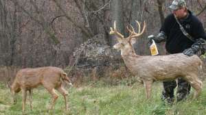 Second rut work october part 2 lead 181203 143132