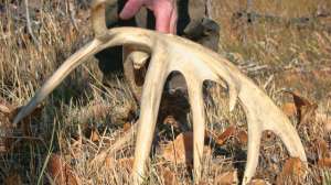 Shedsandbucks April BW 181003 155546