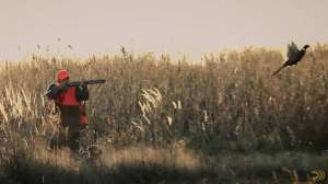 Shooting drill upland game