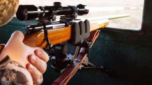 Shooting rest beauty