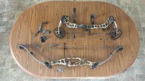 Short vs long compound bow