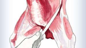 Shoulder 1 700 181003 161651