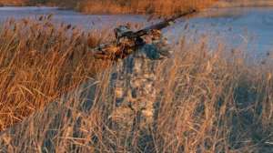 Sitka700 181003 154846