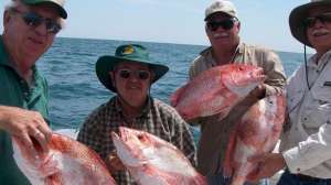 Snapper season closed 181003 155520