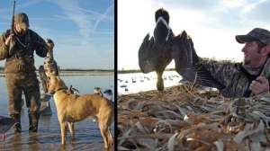 Speck geese hunting july lead 181003 155415