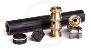 Spikes buckwheat dis 1200x800 1