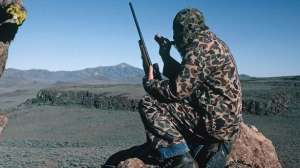 Spring predator hunting 181003 155545