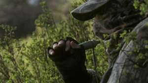 Spring predator hunting may lead 181003 155544