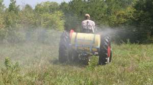 Spring weed control lead 181003 155552