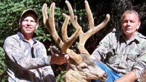 Stalking velvet muleys may lead 181003 155557