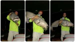 State record blue cat