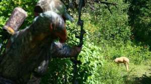 Stone meitin off the line pretendbowhunt700 181003 155049