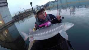 Sturgeon caught on Barbie fishing rod