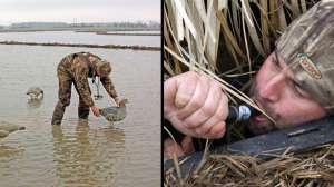 Sutton goose hunting tip july lead
