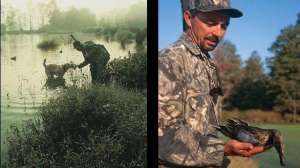 Teal hunting august wr lead 181004 084520