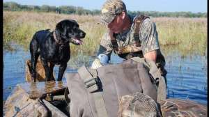 Teal hunting june lead 181003 155849