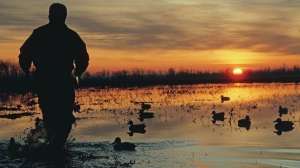 Teal lead 181003 161838