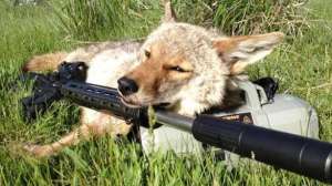 Tomaustineotech700 181003 155838