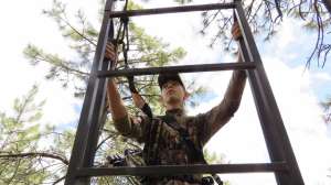 Topnotch ladder stand field test lead pic