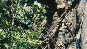 Tough bow shots august lead 181003 155853