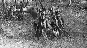 Traditional archery shooting august lead 181003 155937