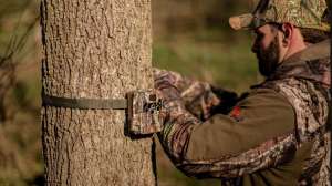 Trail cam thieves