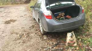 Trash near public land