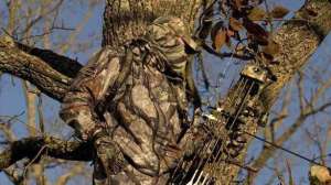 Treestandimage2 700 181003 155947