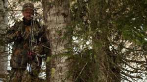 Trim tree stand lead 181003 161229