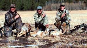 Triple700 181003 162052