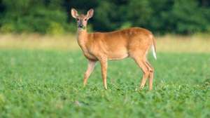 Ts 144232897 700x344 72dpi rgb