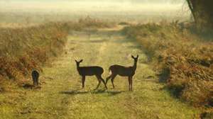 Ts 144964703 700x344 72dpi rgb 181003 155834