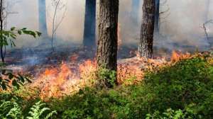 Ts 153191351 700x344 72dpi rgb 181004 084506