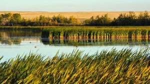 Ts 156817781 700x344 72dpi rgb 181003 160304