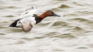 Ts 164922152 700x344 72dpi rgb 181003 162117