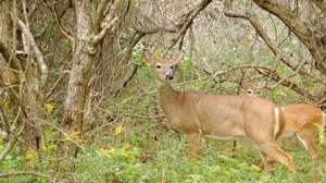 Ts 168798138 700 181003 155540