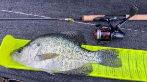 Tube jig lure story lead pic