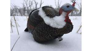 Turkey snow beauty