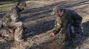 Vaznis lesson maple tree buck nov11bw 2746 700 181003 160256