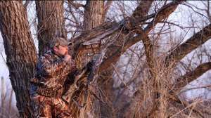 Waterfowl banded tactical gear700 181004 114855