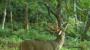 Web 480755142 1051734796994869 1269359740813055247 n