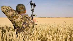 Web EXACTTUNE PIX 01f