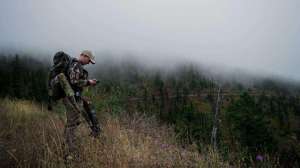 Web Fields 9 11 19 Elk 243 2 photo courtesy of On X