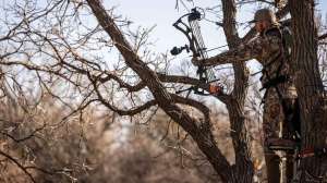 Web MAXACCURACY PIX 01