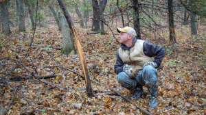 Web SW550 Mark Kayser checking rub while spring shed antler hunting copyright Mark Kayser