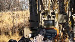 Web SW821 Setting up a cellular camera to check for service copyright Mark Kayser