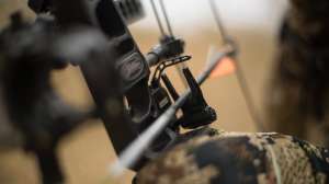 Web arrow rests lead pic