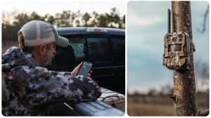 Web collage Cellular Trail Camera Debate 34